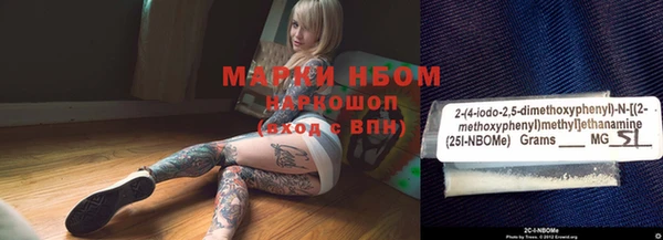 тгк Инсар