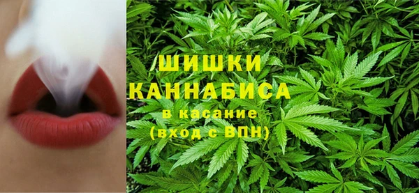 тгк Инсар