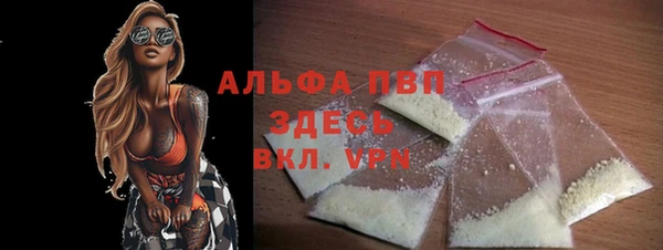 тгк Инсар