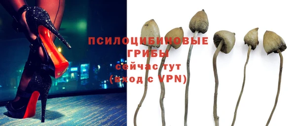 мдпв Иннополис