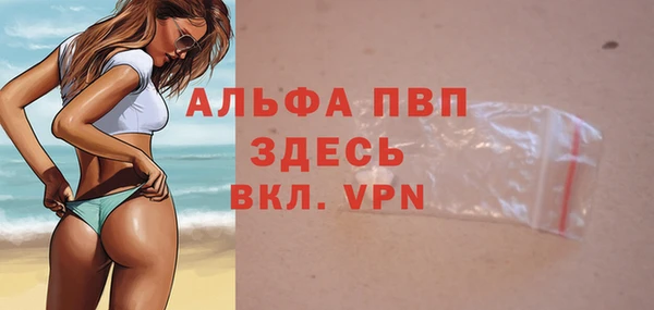 амф Инта