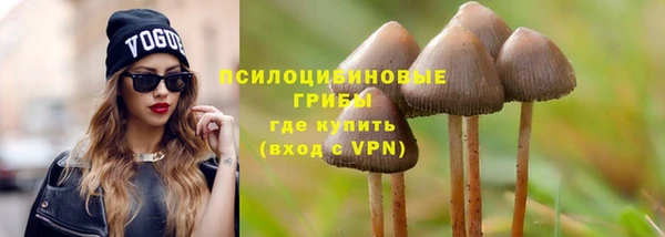 мдпв Иннополис