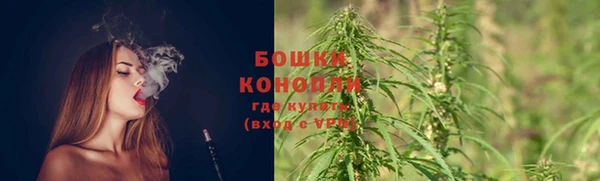 амф Инта