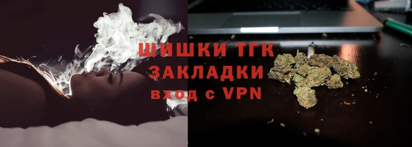 тгк Инсар