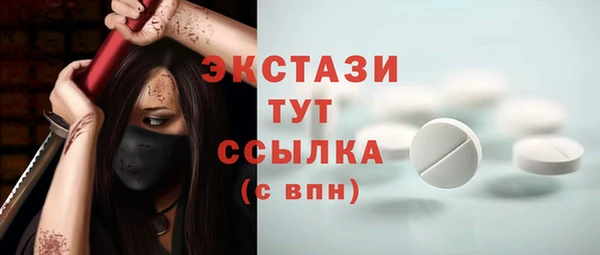 тгк Инсар