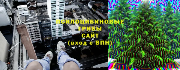 тгк Инсар