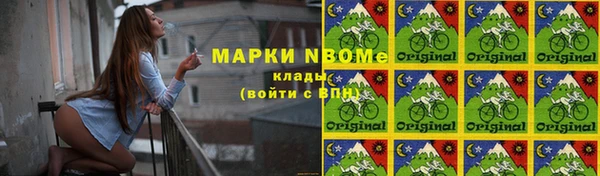 тгк Инсар