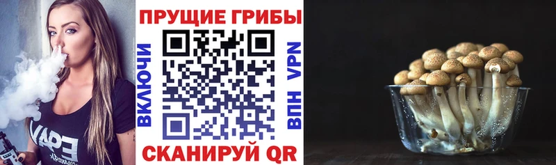 Купить  Томмот  Псилоцибиновые грибы мухоморы 