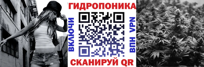 Бошки марихуана ГИДРОПОН  Купить где  Томмот 